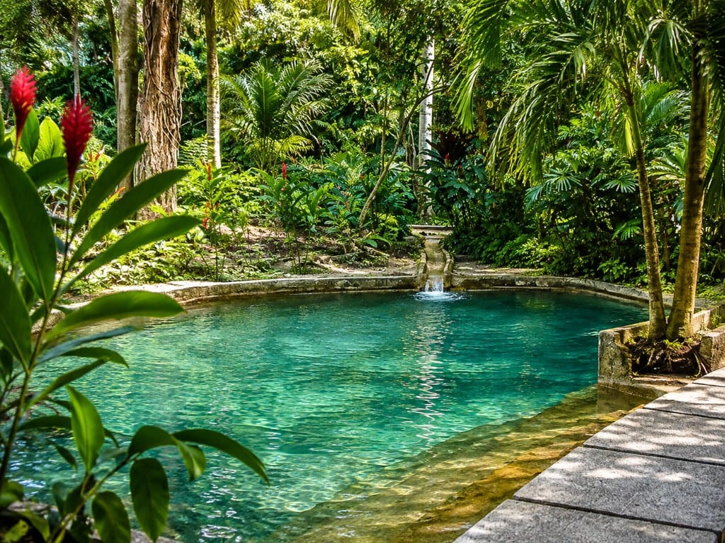 Piscina natural rodeada de plantas tropicales en el Jardín Botánico de Turbaco