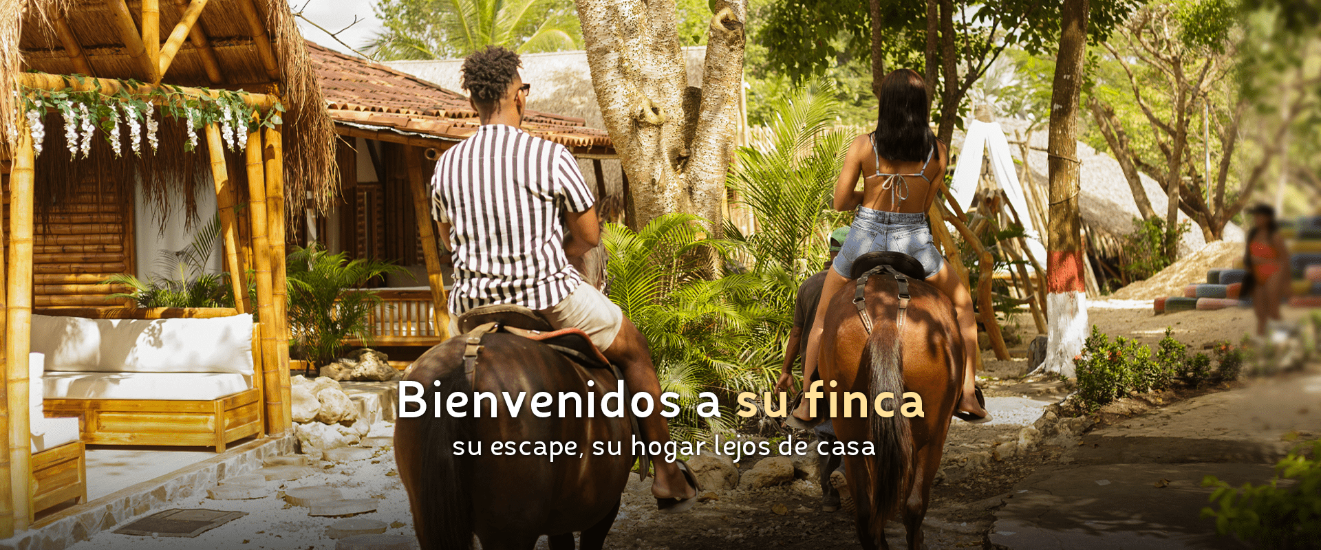 BANNERS-WEB-VM-2023-3