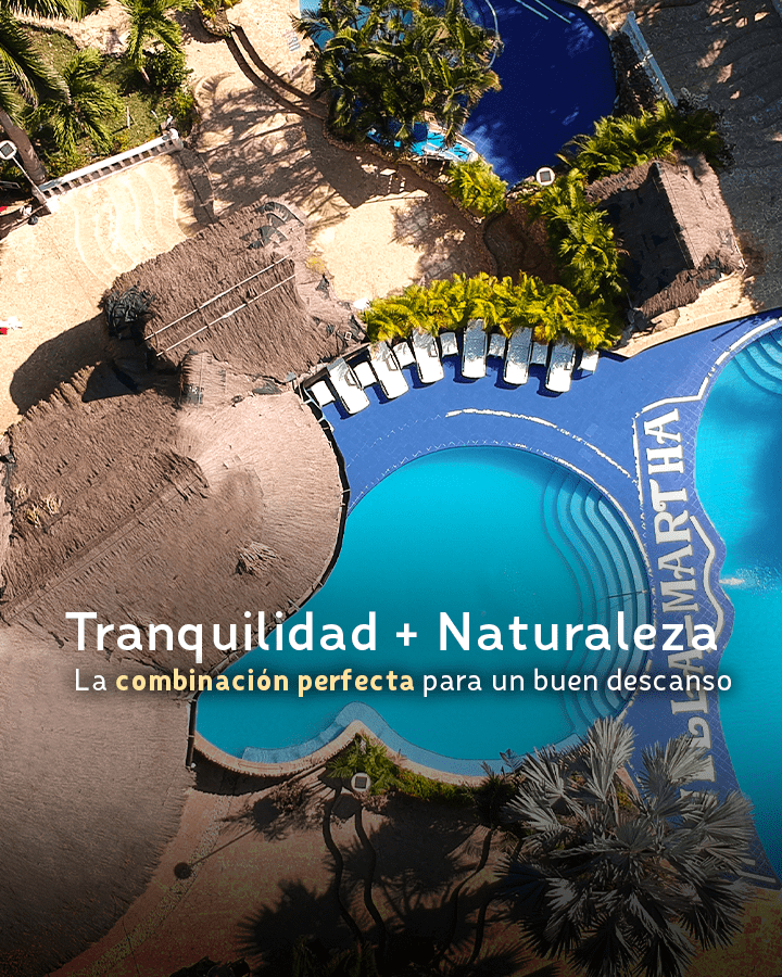 BANNERS-WEB-VM-2023-mobile1