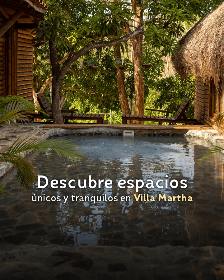 BANNERS-WEB-VM-2023-mobile2