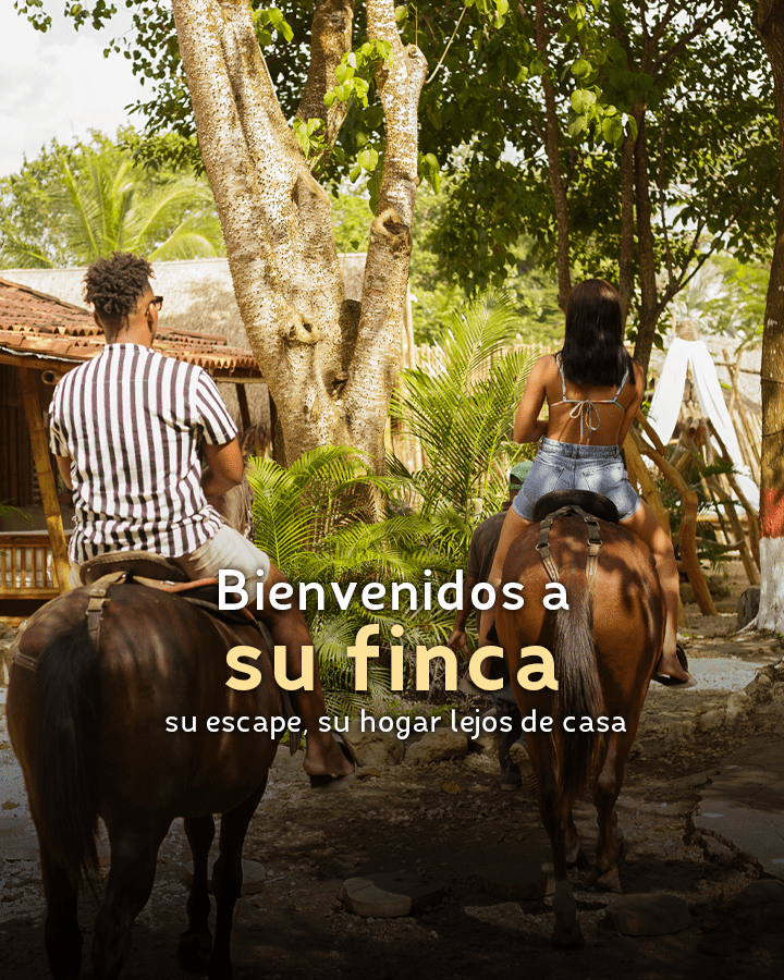 BANNERS-WEB-VM-2023-mobile3