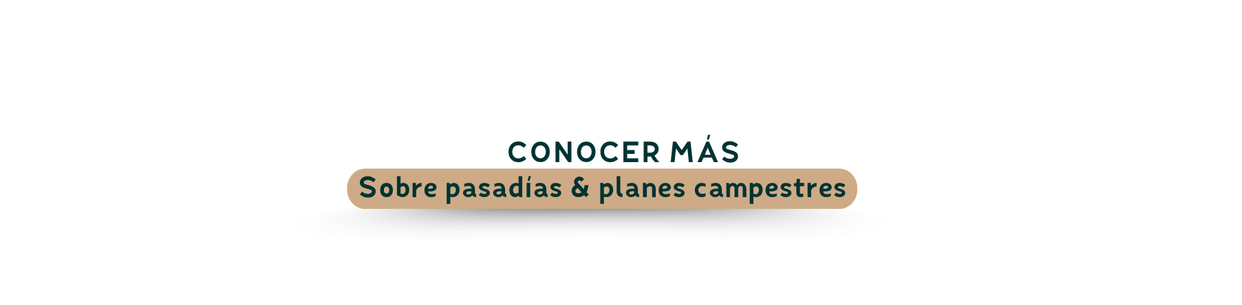Conoce más sobre pasadías y planes campestres